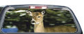 Deer window mural